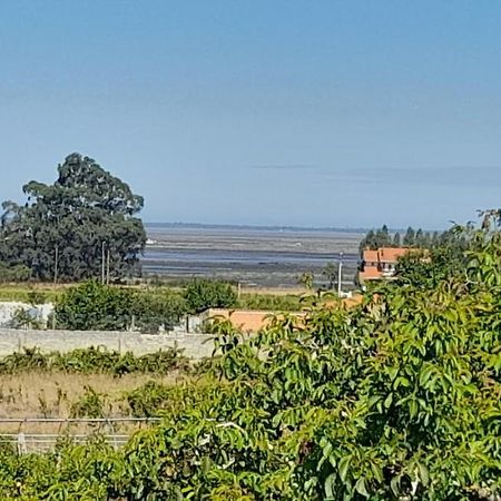Casa Afonso - Passadicos Do Paco Otel Aveiro Dış mekan fotoğraf