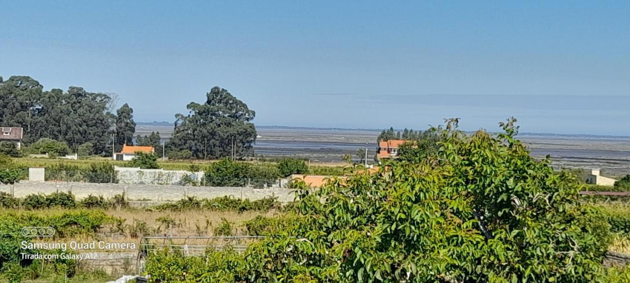 Casa Afonso - Passadicos Do Paco Otel Aveiro Dış mekan fotoğraf